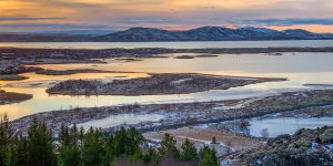 green trees on snow covered ground during daytime