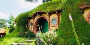 brown concrete building near green grass field during daytime